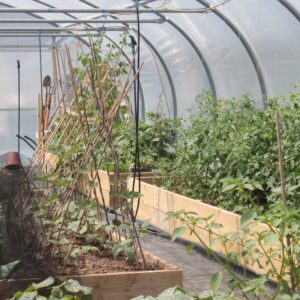 Timber Raised Beds